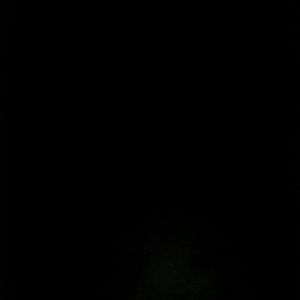 Meet your Posher, Evelyn